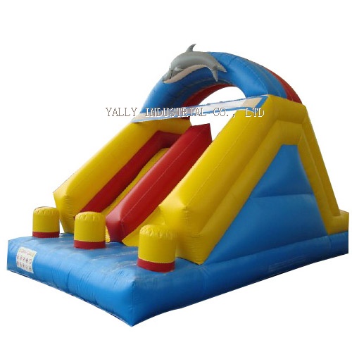 dophine inflatable double slide