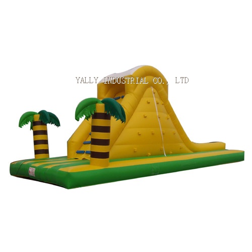 Cocopalm inflatable water slide