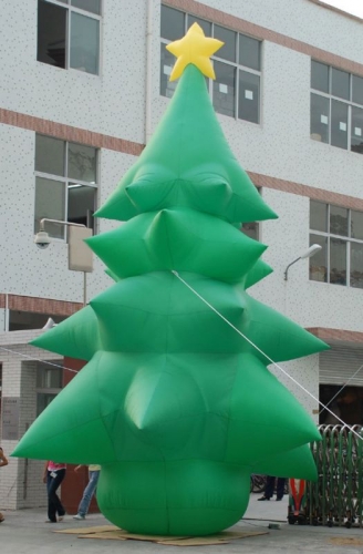 huge Christmas tree docor