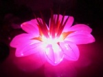 inflatable lighting flower lily RGB color lights for party stage events decor
