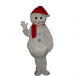 Snowman fancy dress Costume