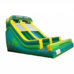 Jungle inflatable slide