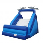 dolphin inflatable slide