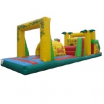 inflatable Obstacle Course