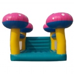 Pink Mushroon inflatable bouncer