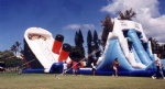 Titanic inflatable slide