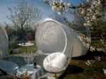 affordable inflatable bubble tree dome tent for business or wedding event
